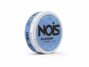 Nois Blueberry Ice 8mg
